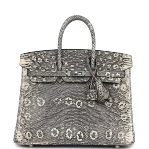 Hermès Birkin 25 Ombre Varanus Salvator Lizard - High-End Inspired