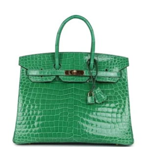 Hermès Birkin 35 Cactus Crocodile Gold - Artisan-Grade Dupes