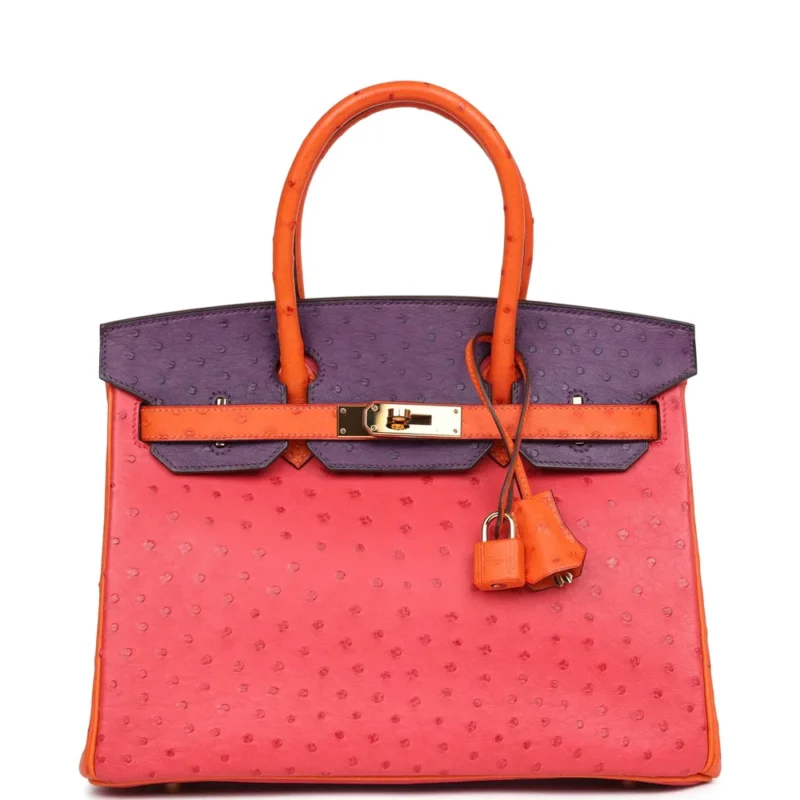 Hermès HSS Tangerine Violet Ostrich - High-End Inspired